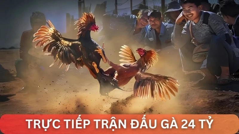 Khám phá buổi trực tiếp trận đá gà 24 tỷ cùng Alo789 2 Tìm hiểu tổng quan buổi trực tiếp trận đá gà 24 tỷ cùng Alo789